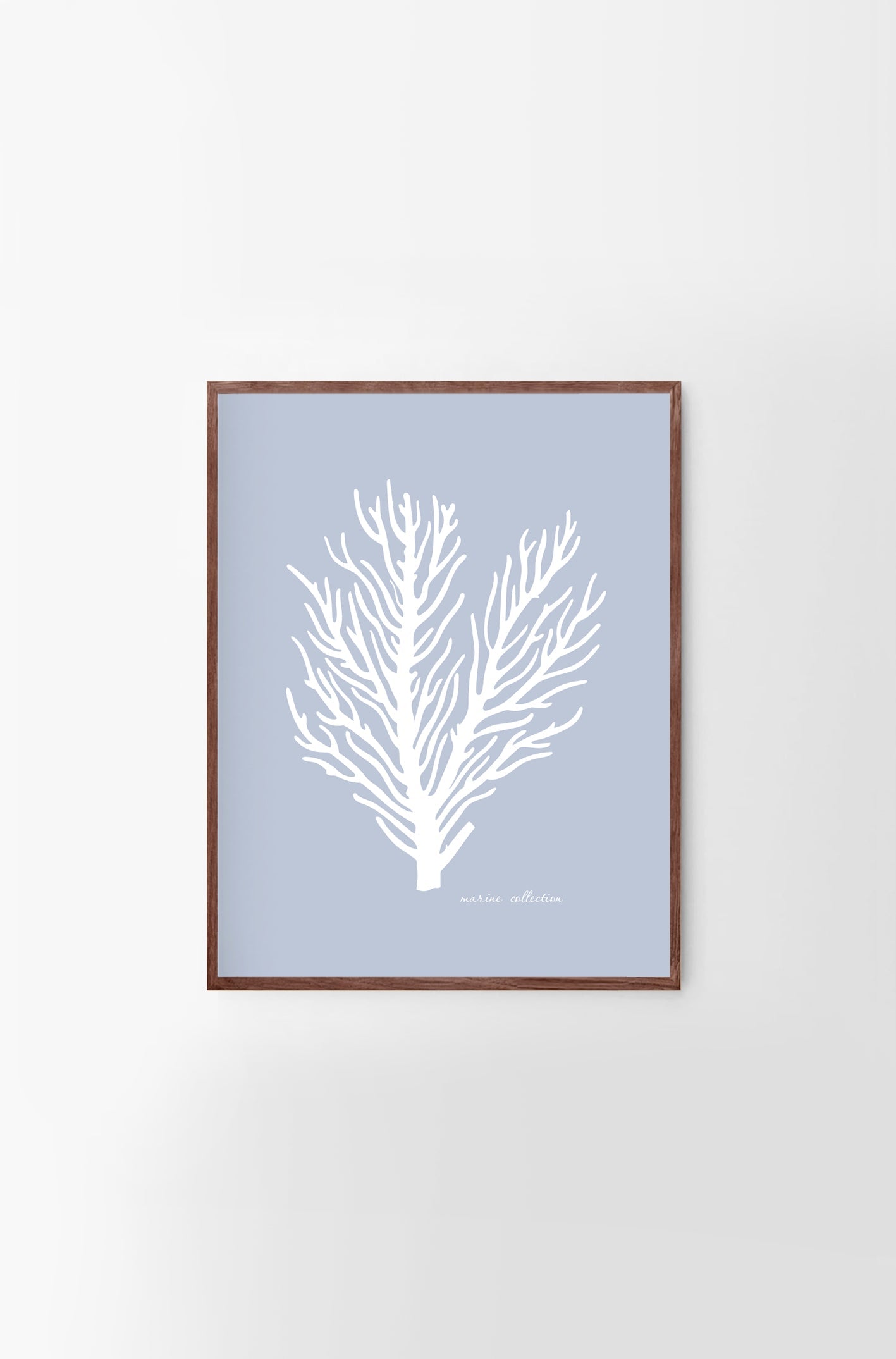Marine Collection II