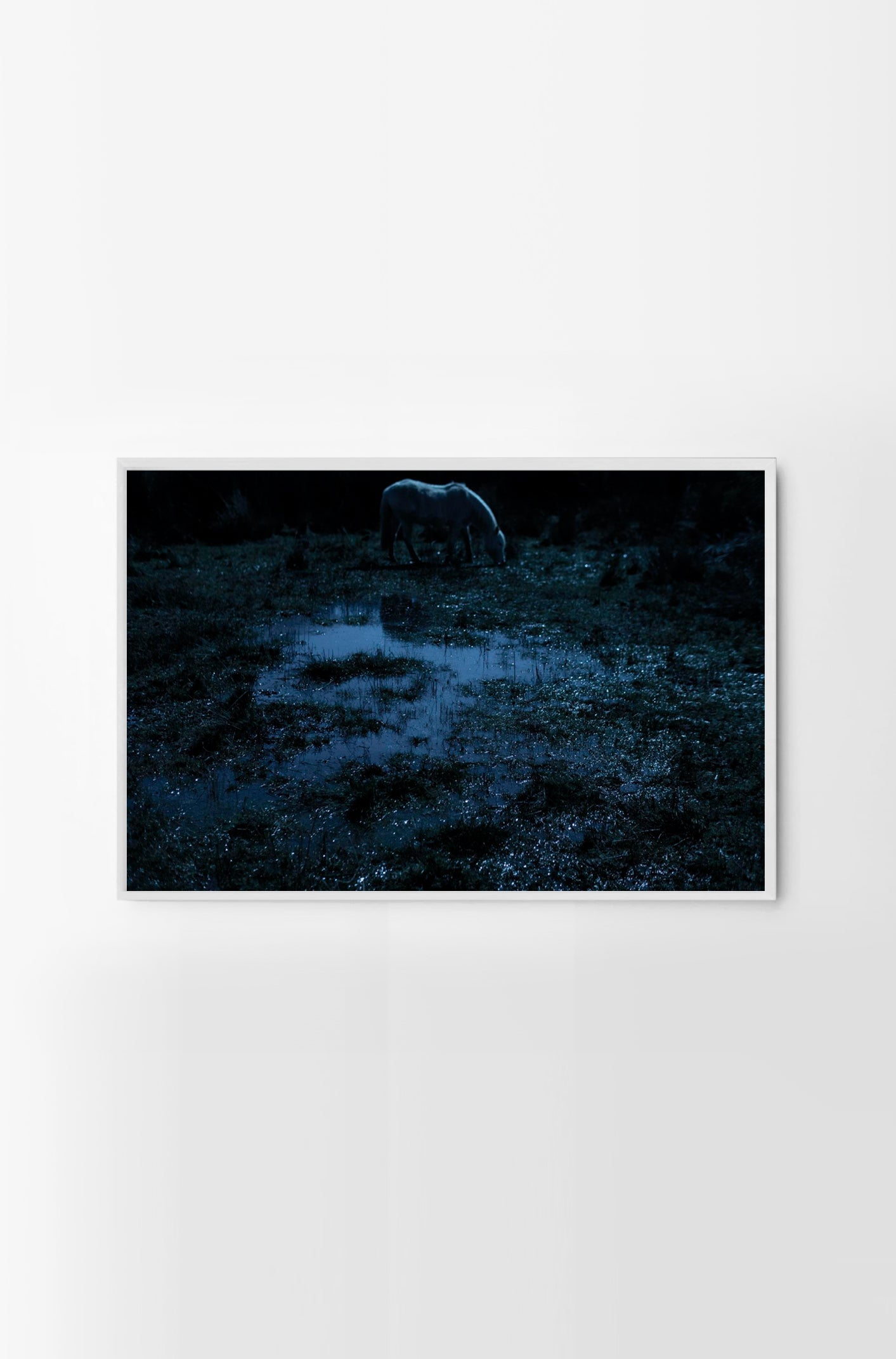 Tolten #4