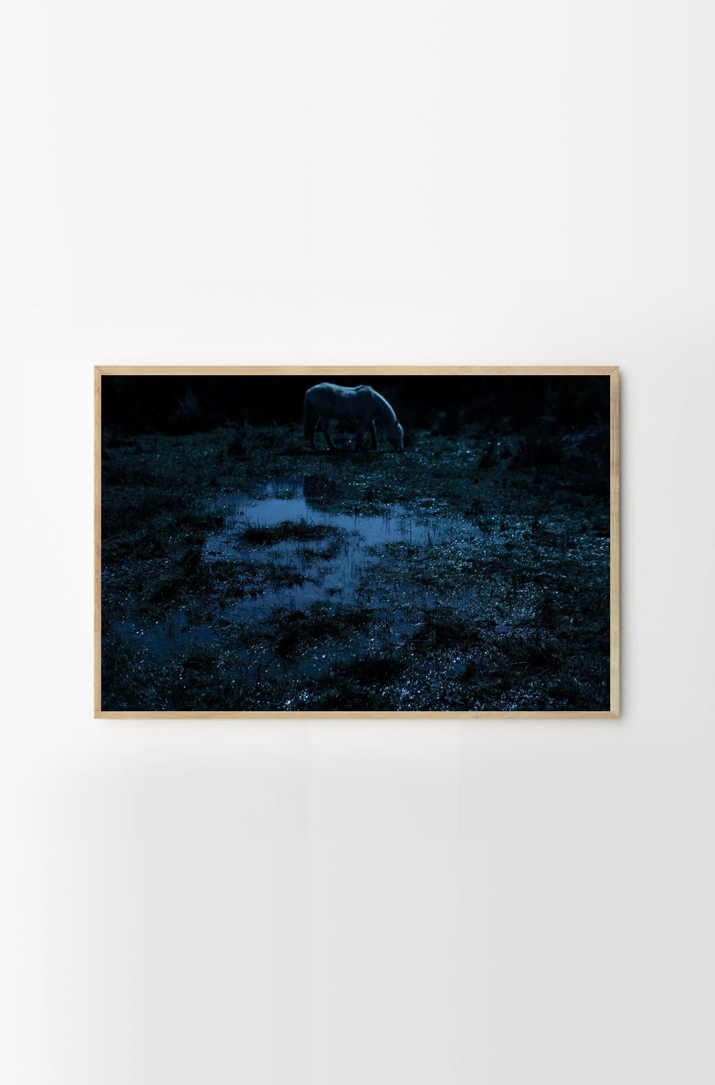 Tolten #4