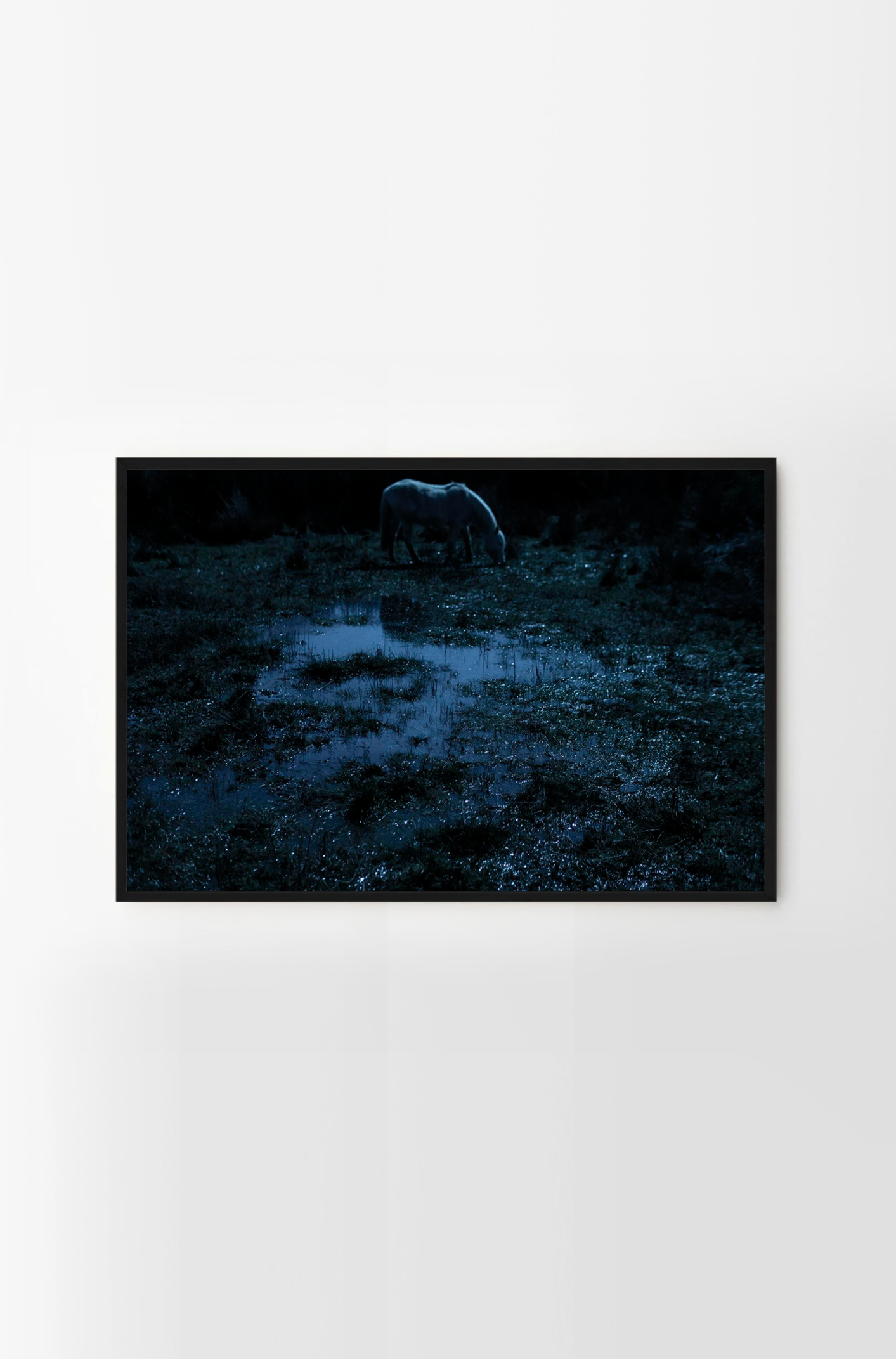 Tolten #4
