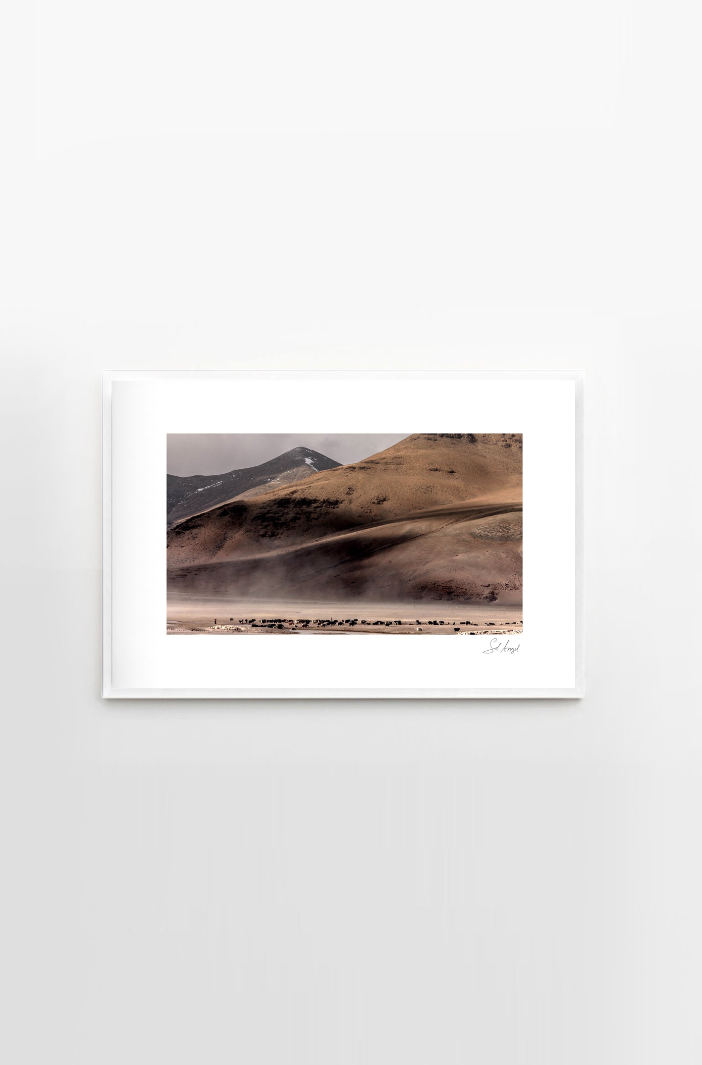 Chile, Desierto nro 2