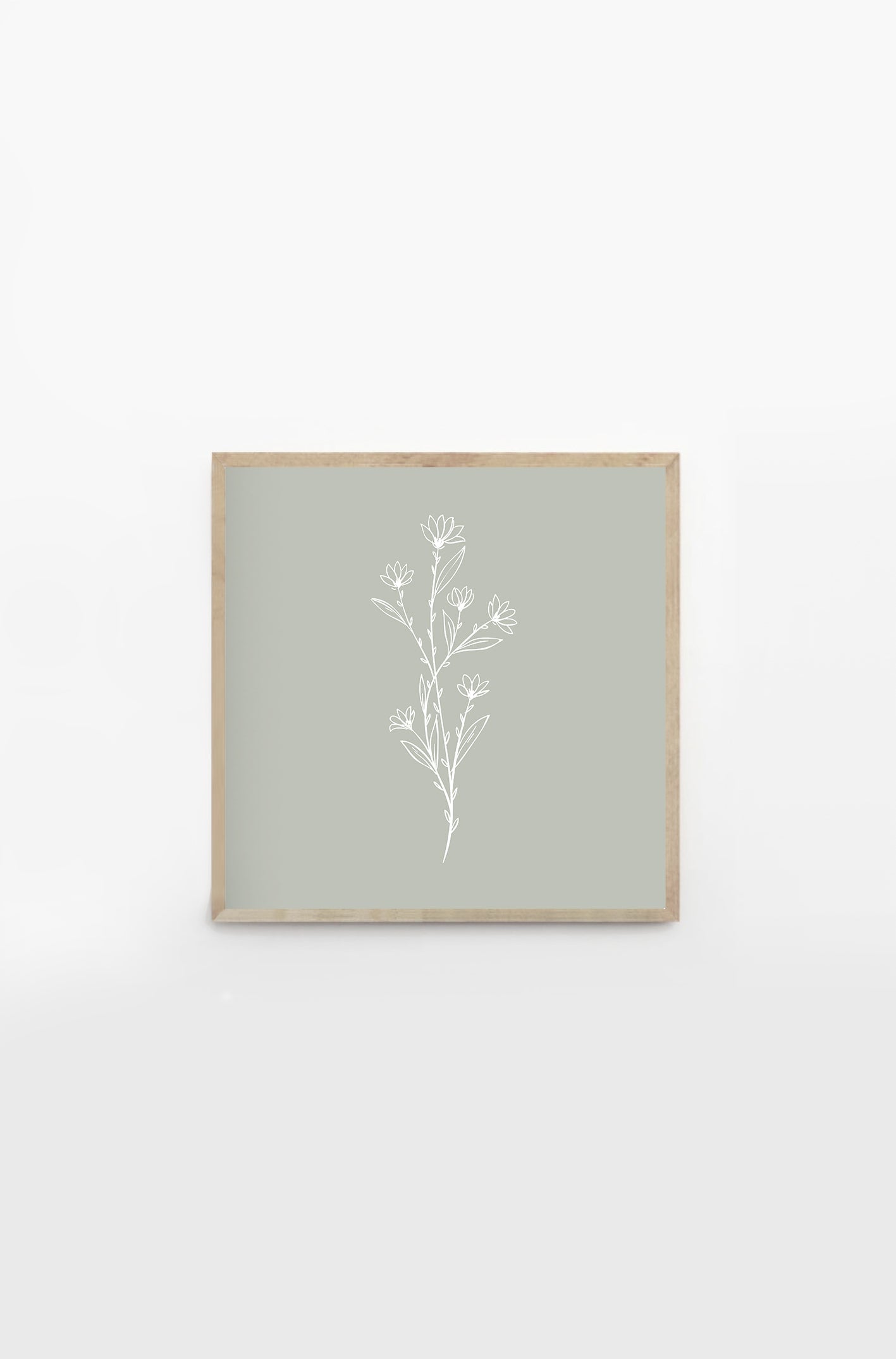 Herbal verde grisaceo