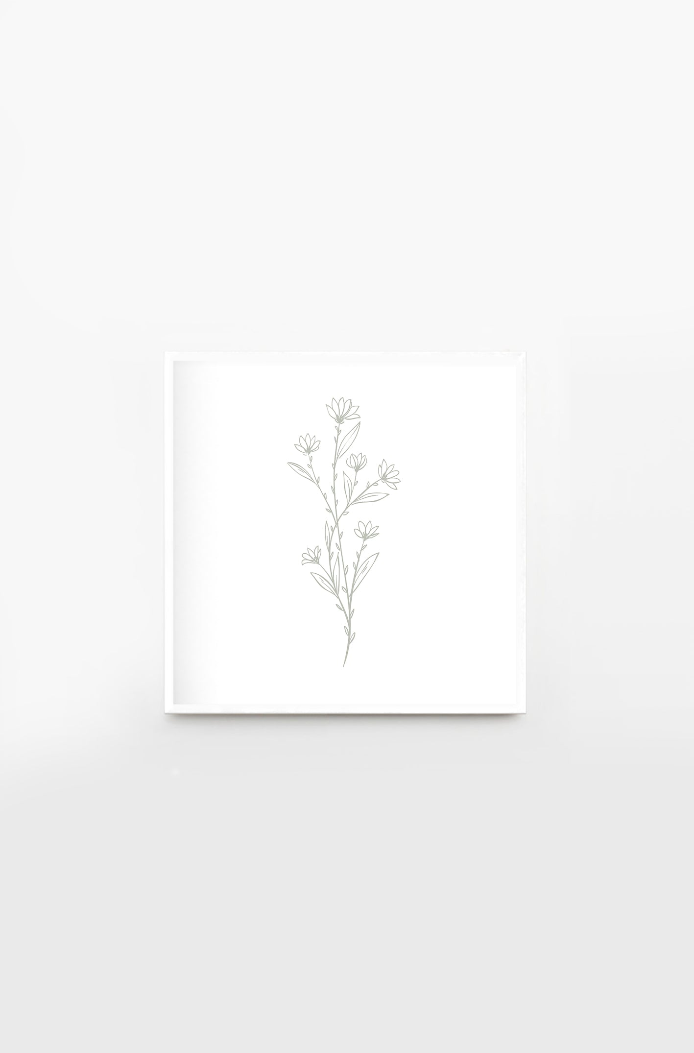 Herbal verde grisaceo 2