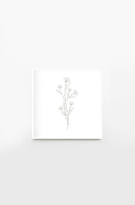 Herbal verde grisaceo 2